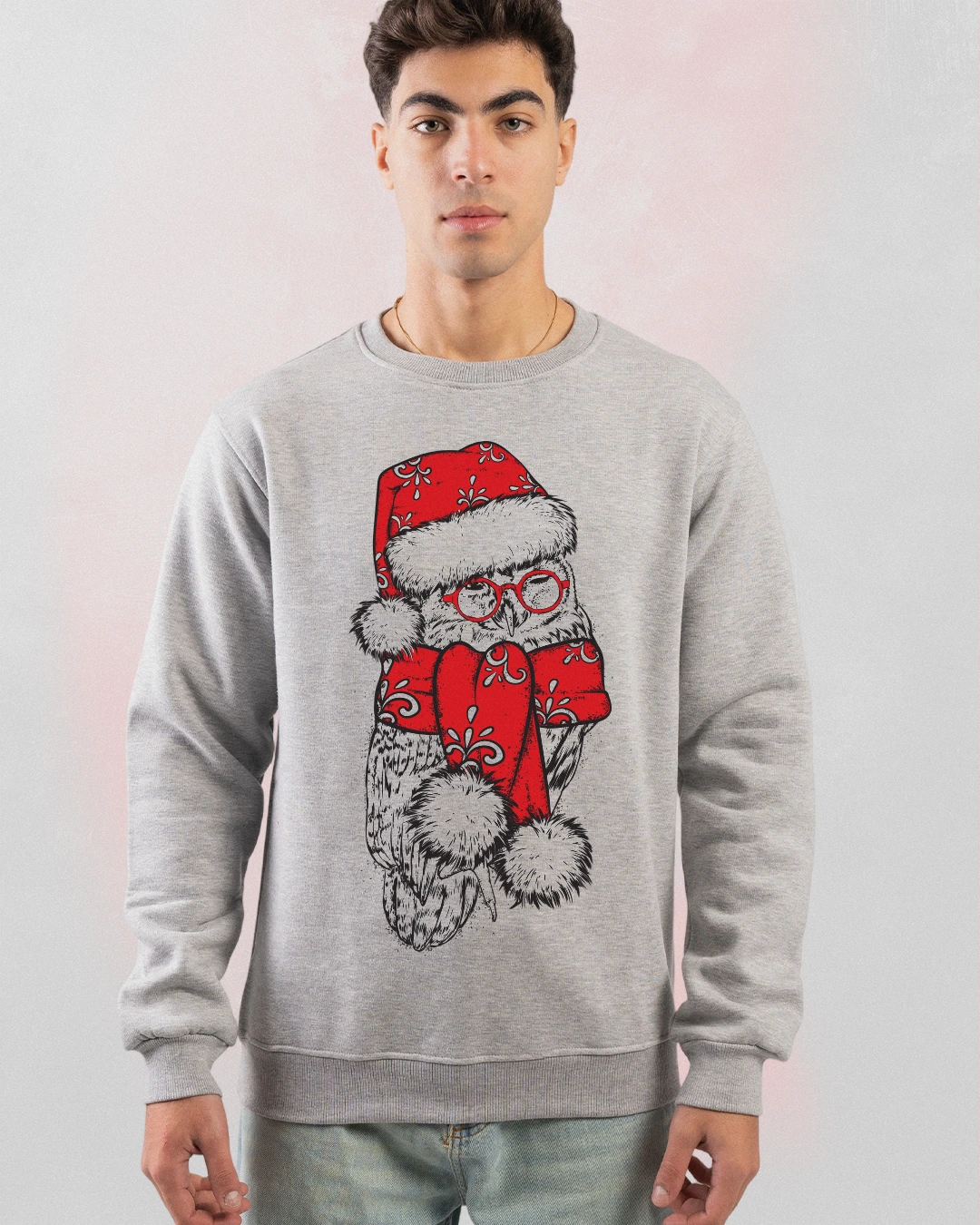 Festive Owl Graphic Sweatshirt
